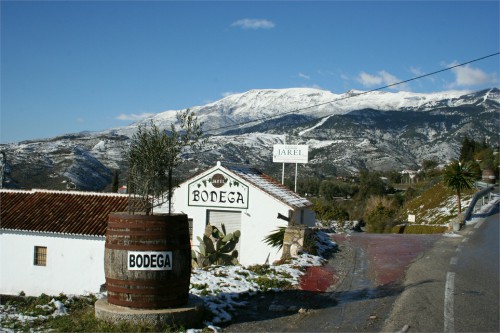 BodegasAlmijara3